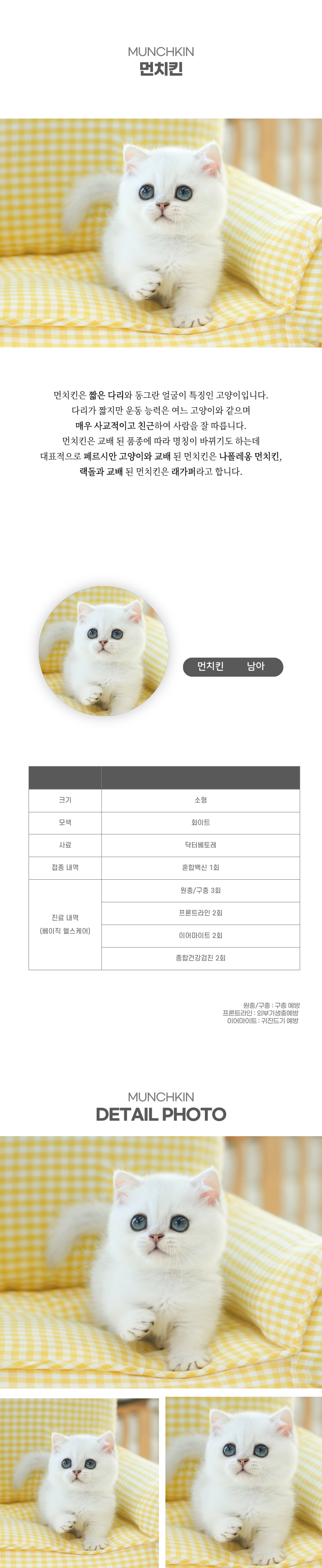 먼치킨_상세이미지_2